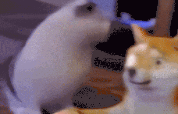 1100万人都在玩的AI视频神器,三步把你P进任何名场面